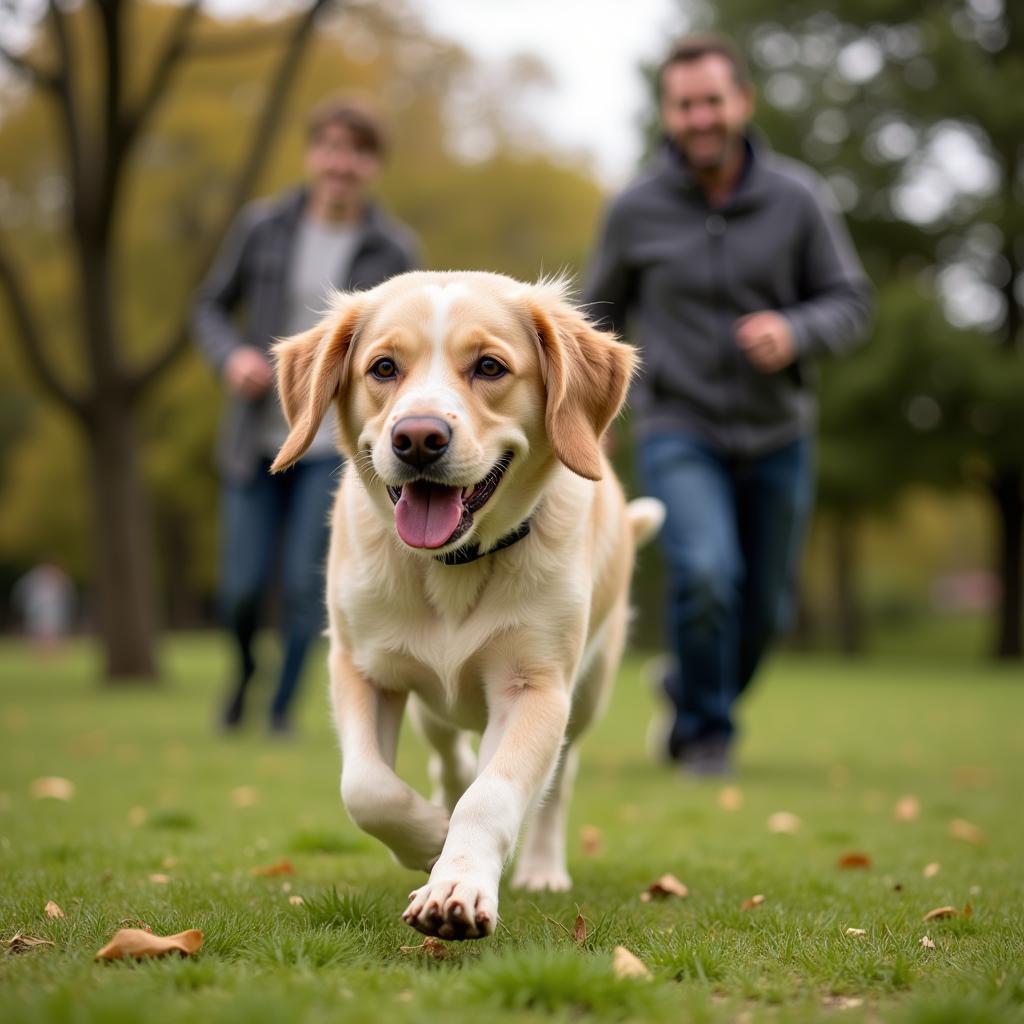 Happy and Healthy Pet After Visiting Roanoke Rapids Animal Hospital