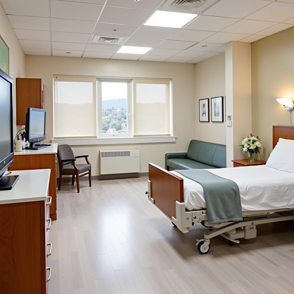 Bear River Valley Hospital Patient Room