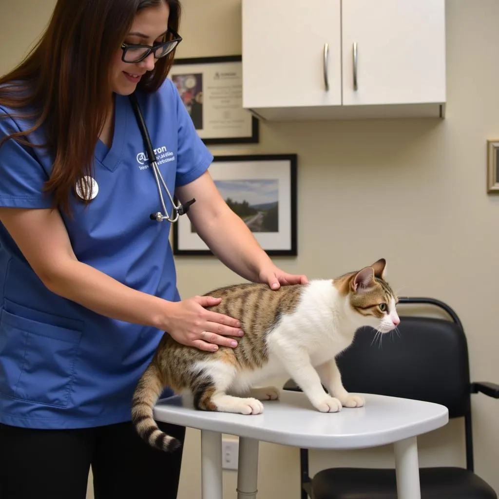 Cat Receiving Vaccination at Utah Animal Hospital