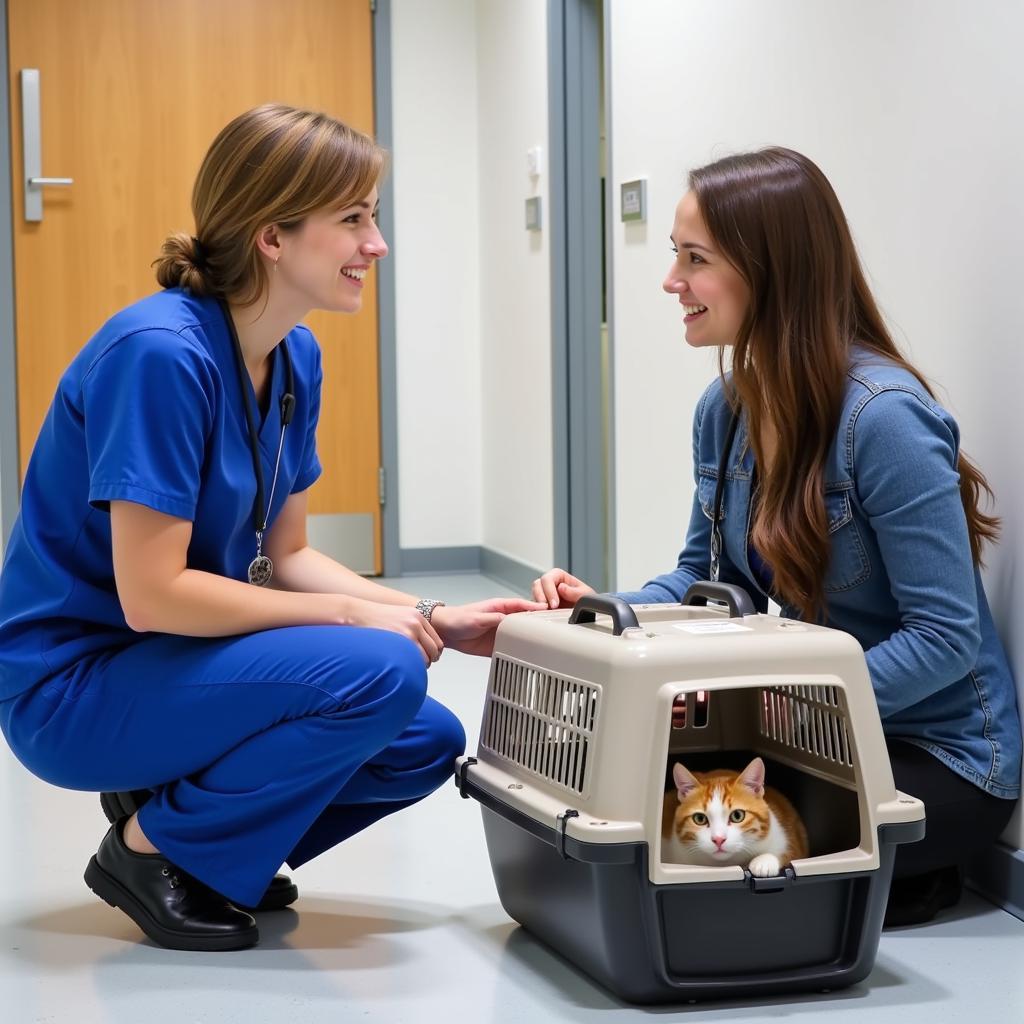  Veterinarian Talking to a Cat Owner at Davis Animal Hospital in CT