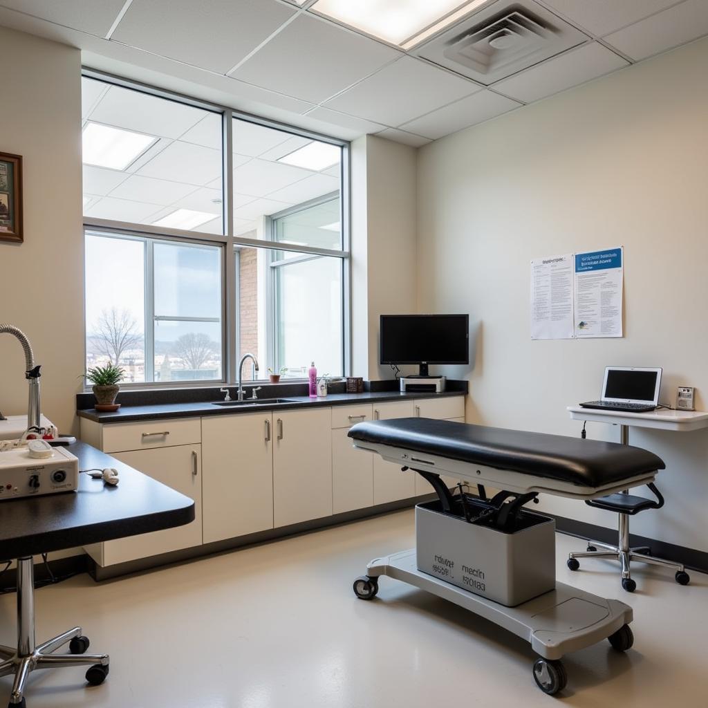 Modern Exam Room at DeVries Animal Hospital