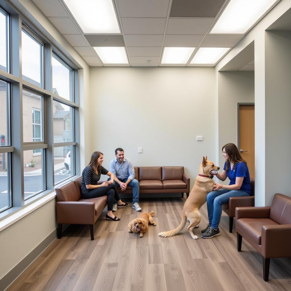 Warm and inviting veterinary hospital waiting area