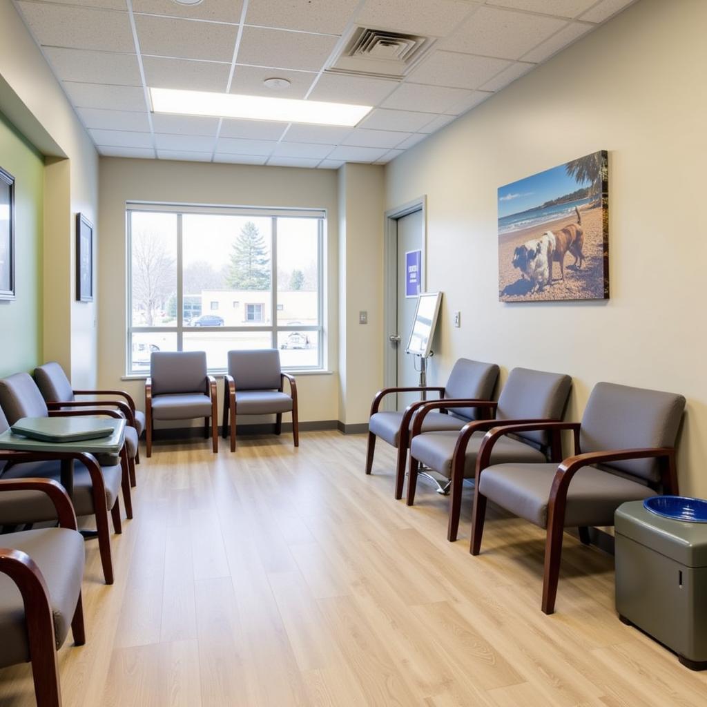 Comfortable Waiting Area at Animal Hospital in Freeport IL