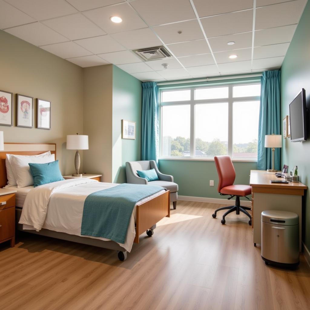 Comfortable and Modern Patient Room