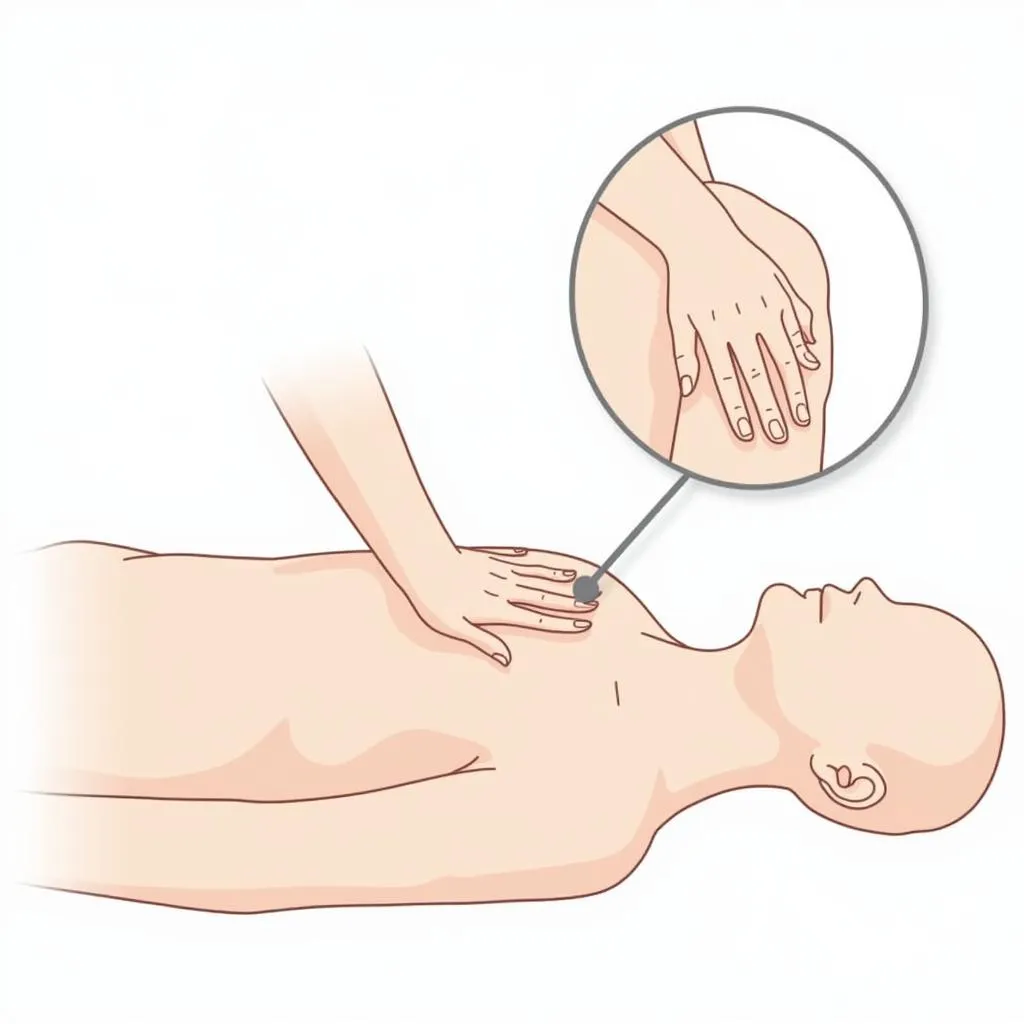  Performing CPR: Chest Compressions 