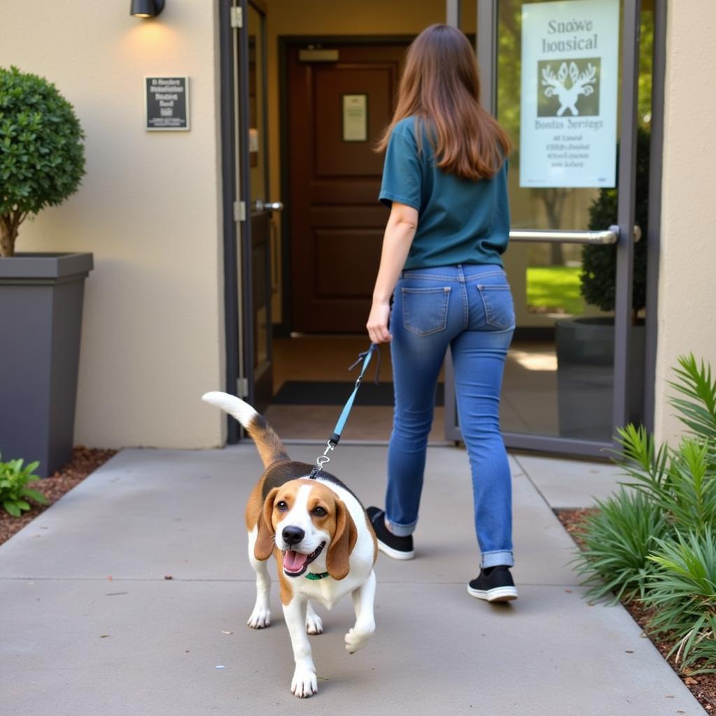 Happy Dog Leaving a Bonita Springs Animal Hospital