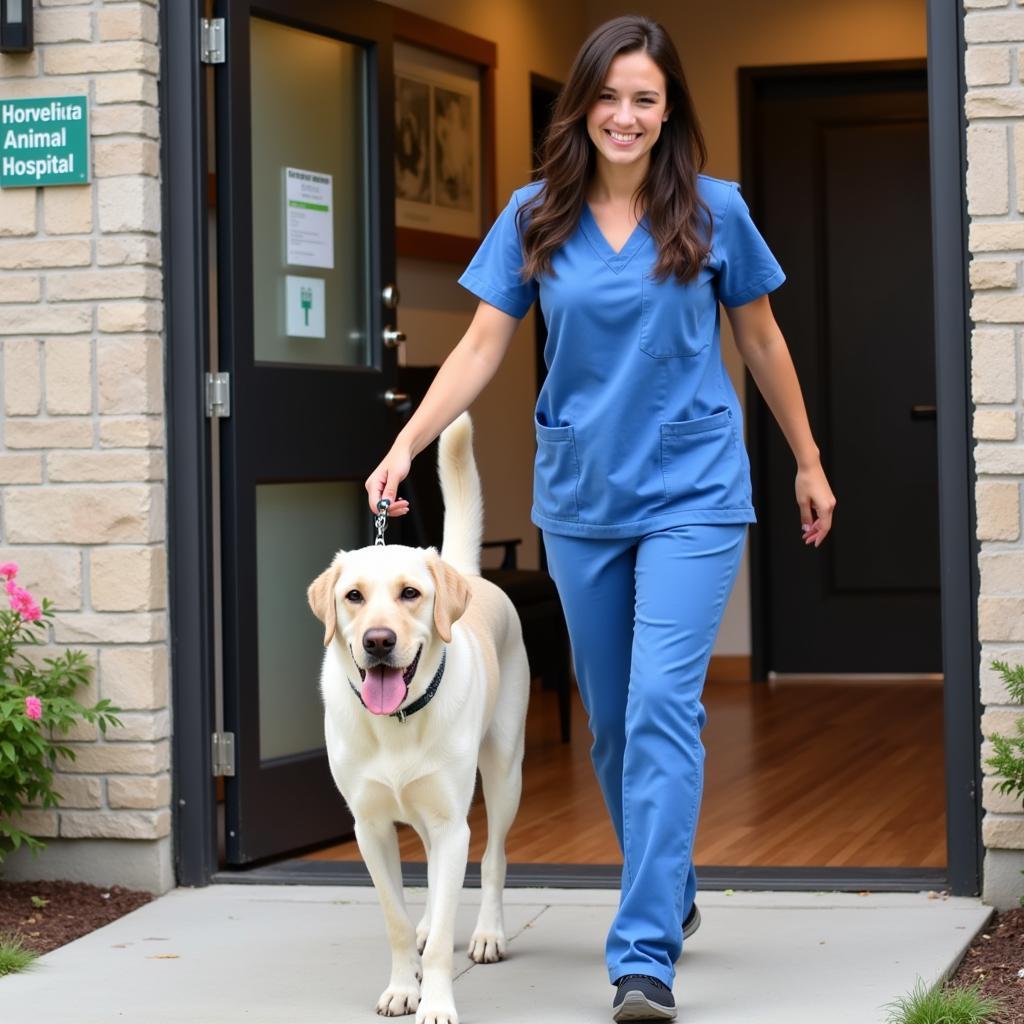 Happy Dog Leaving Veterinary Hospital