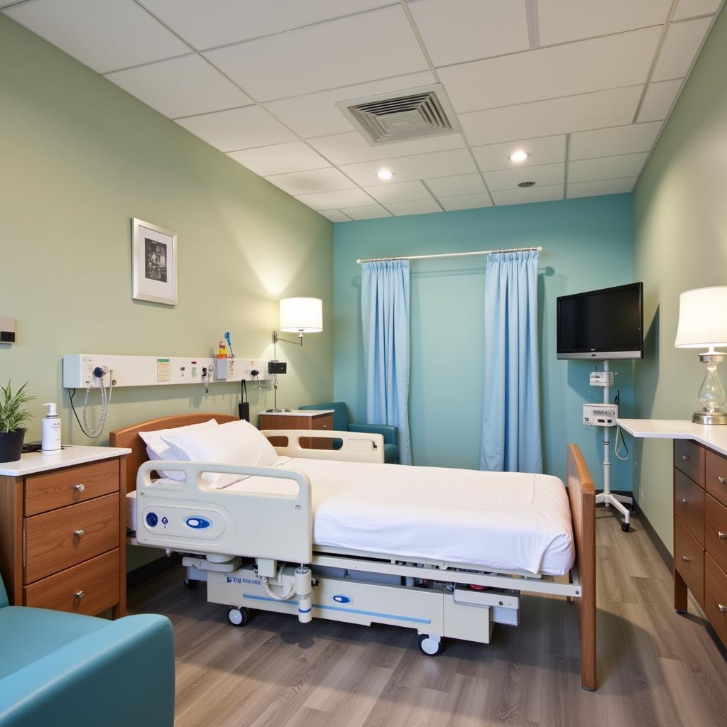 Modern and Well-Equipped Patient Room