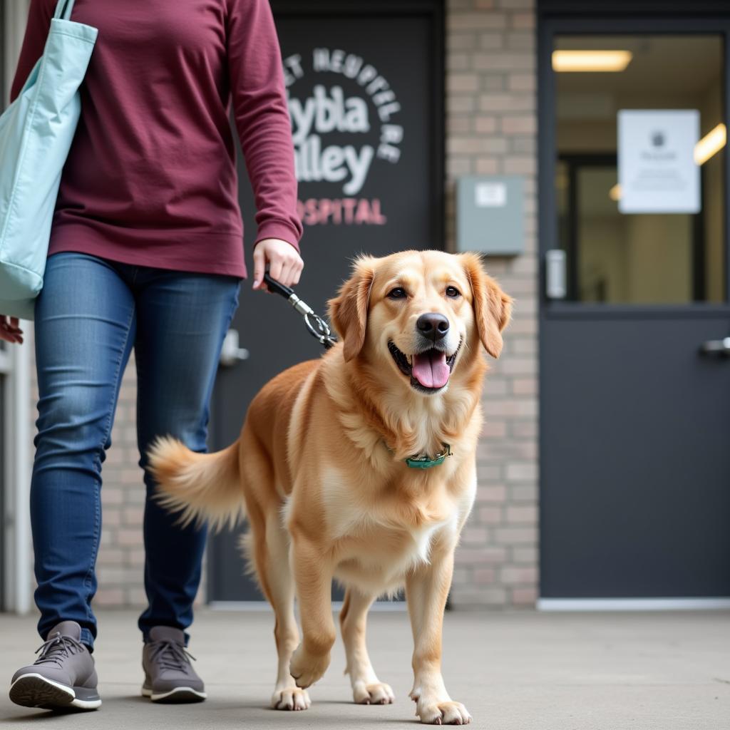 Happy and Healthy Dog at Hybla Valley Vet Hospital