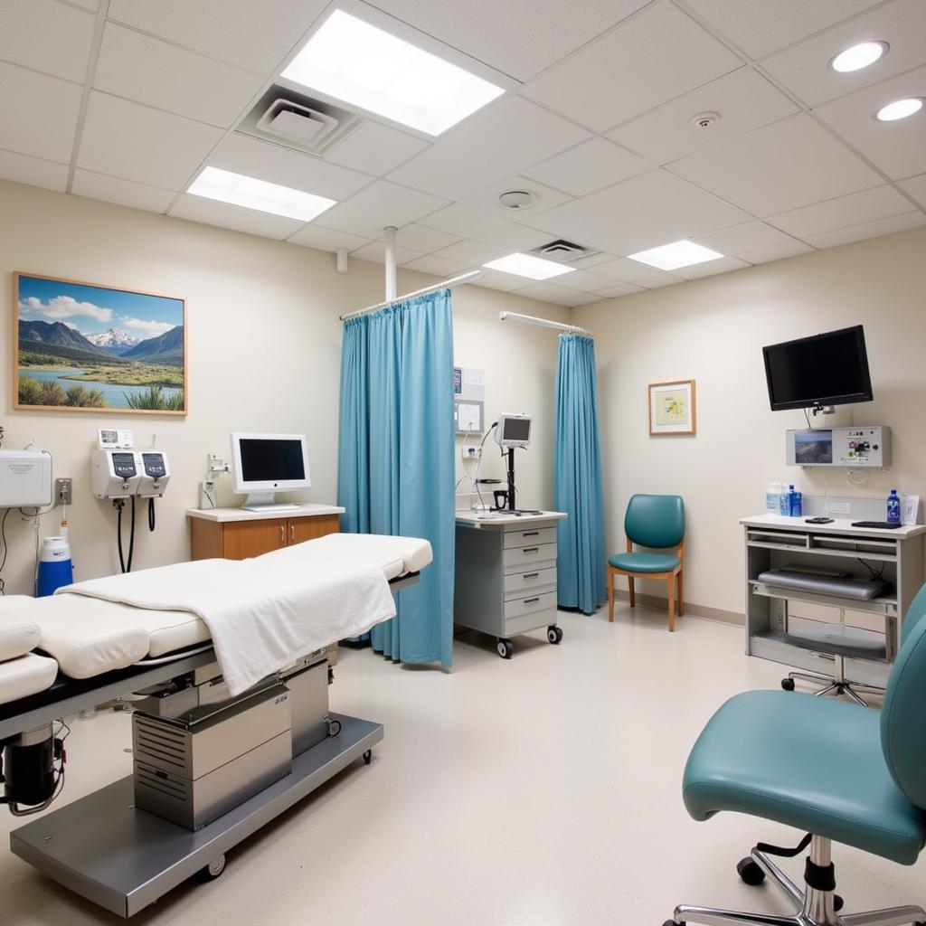 Idaho Falls Community Hospital Emergency Room Treatment Room