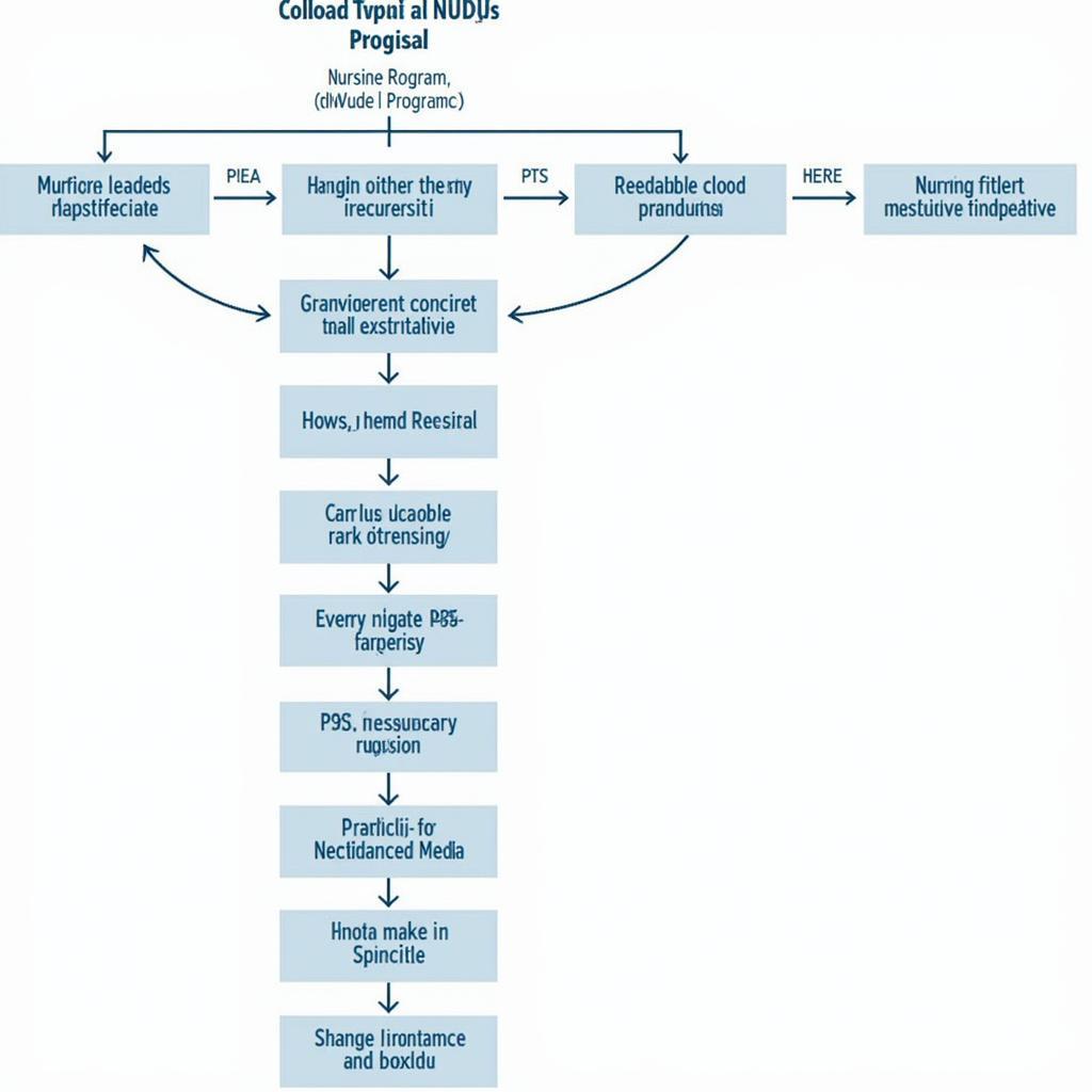 Flowchart outlining the different phases of the residency program