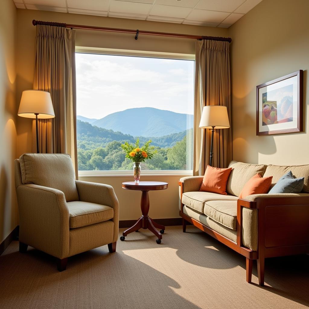 Comfortable and modern private patient room with mountain view