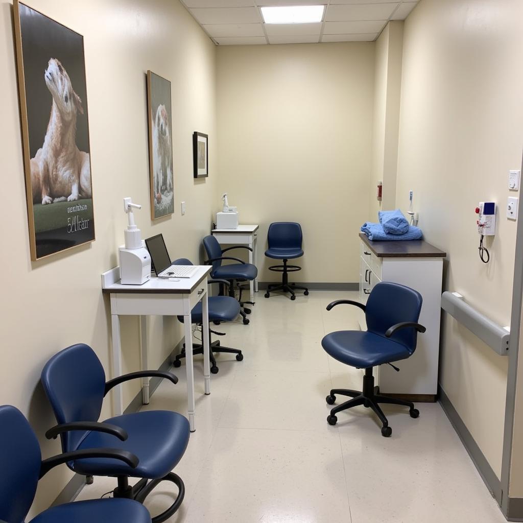 Lone Peak Veterinary Hospital Exam Room