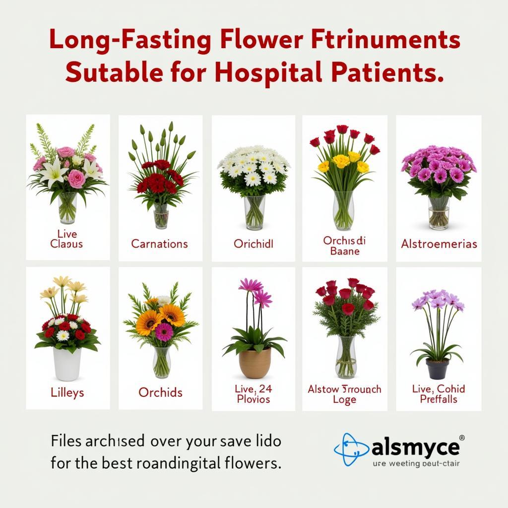 Long-Lasting Flower Arrangements for Hospital Stays