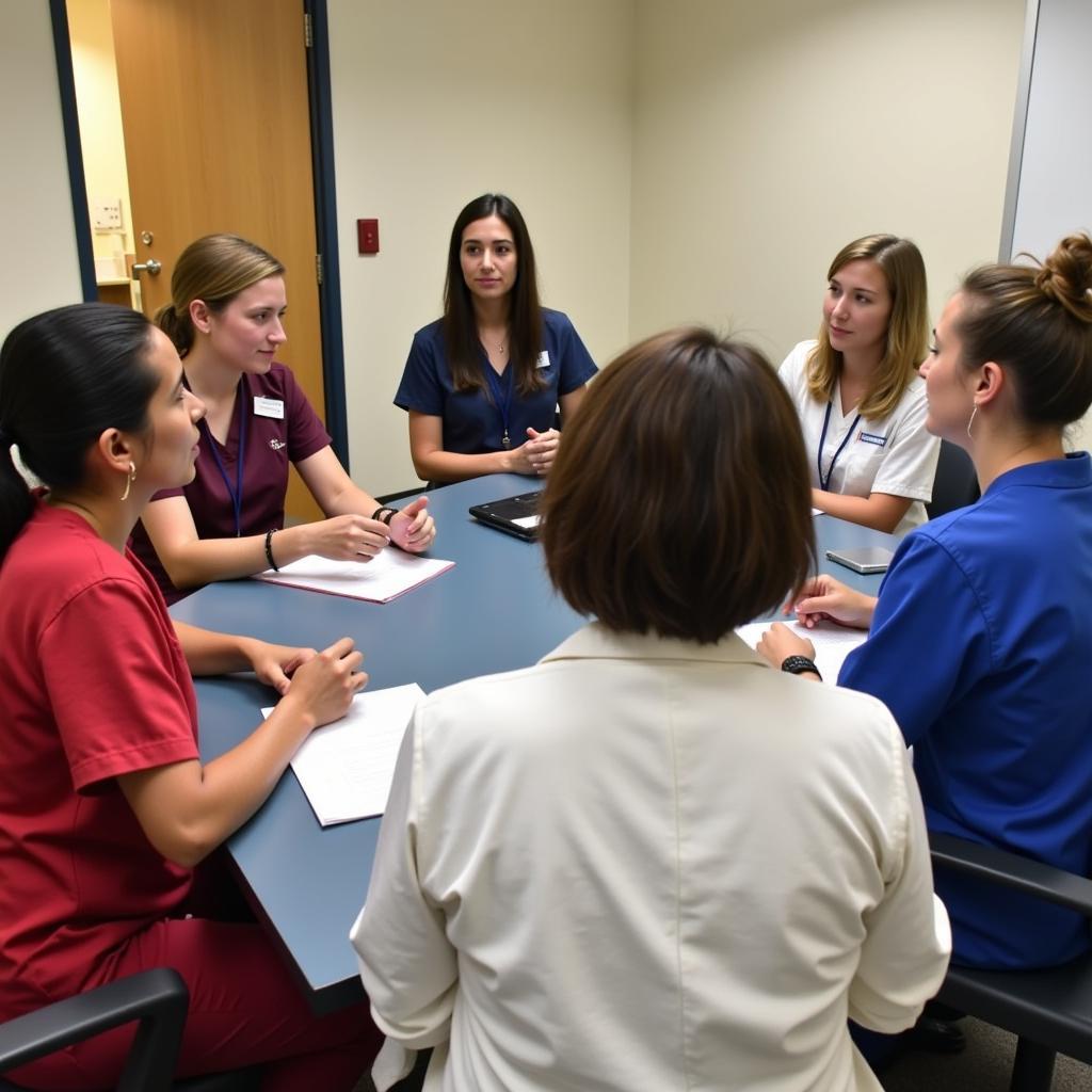 Team of Mental Health Professionals in a Meeting