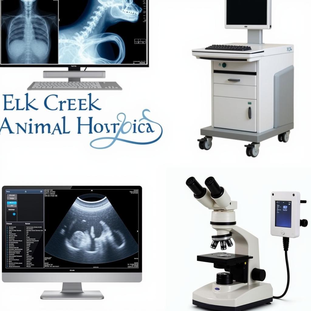 Advanced Veterinary Hospital Equipment at Elk Creek Animal Hospital