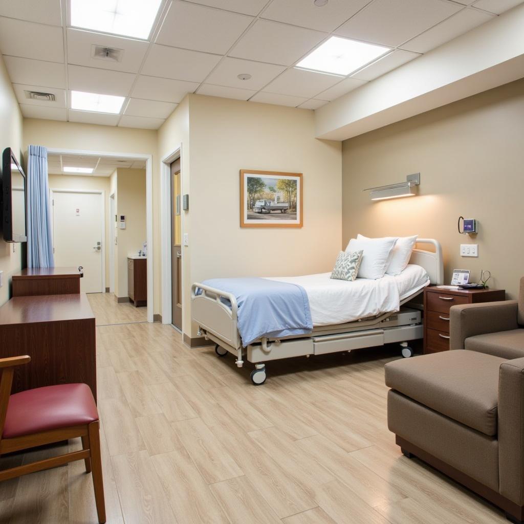 Comfortable and modern private patient room with amenities