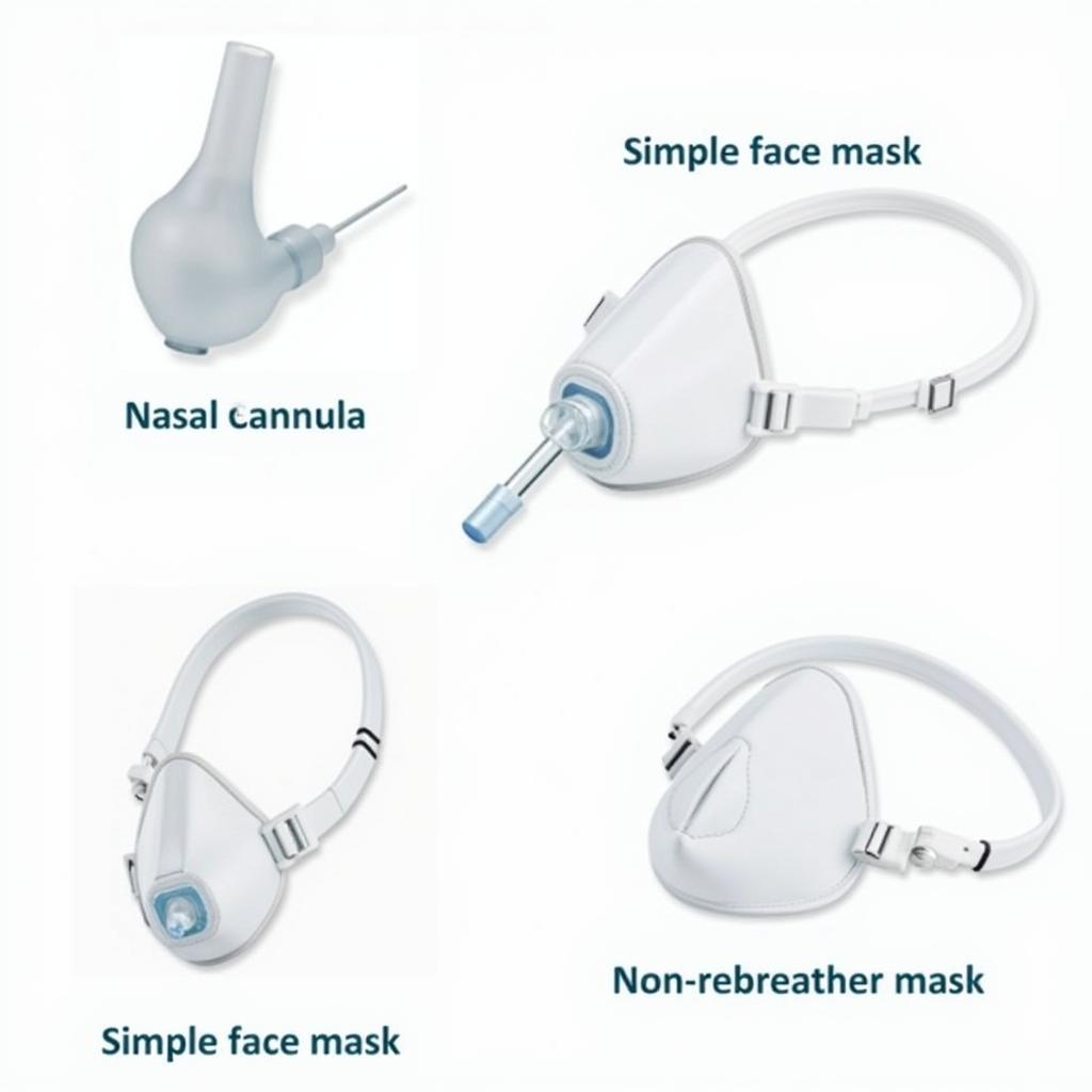 Oxygen Masks and Nasal Cannula