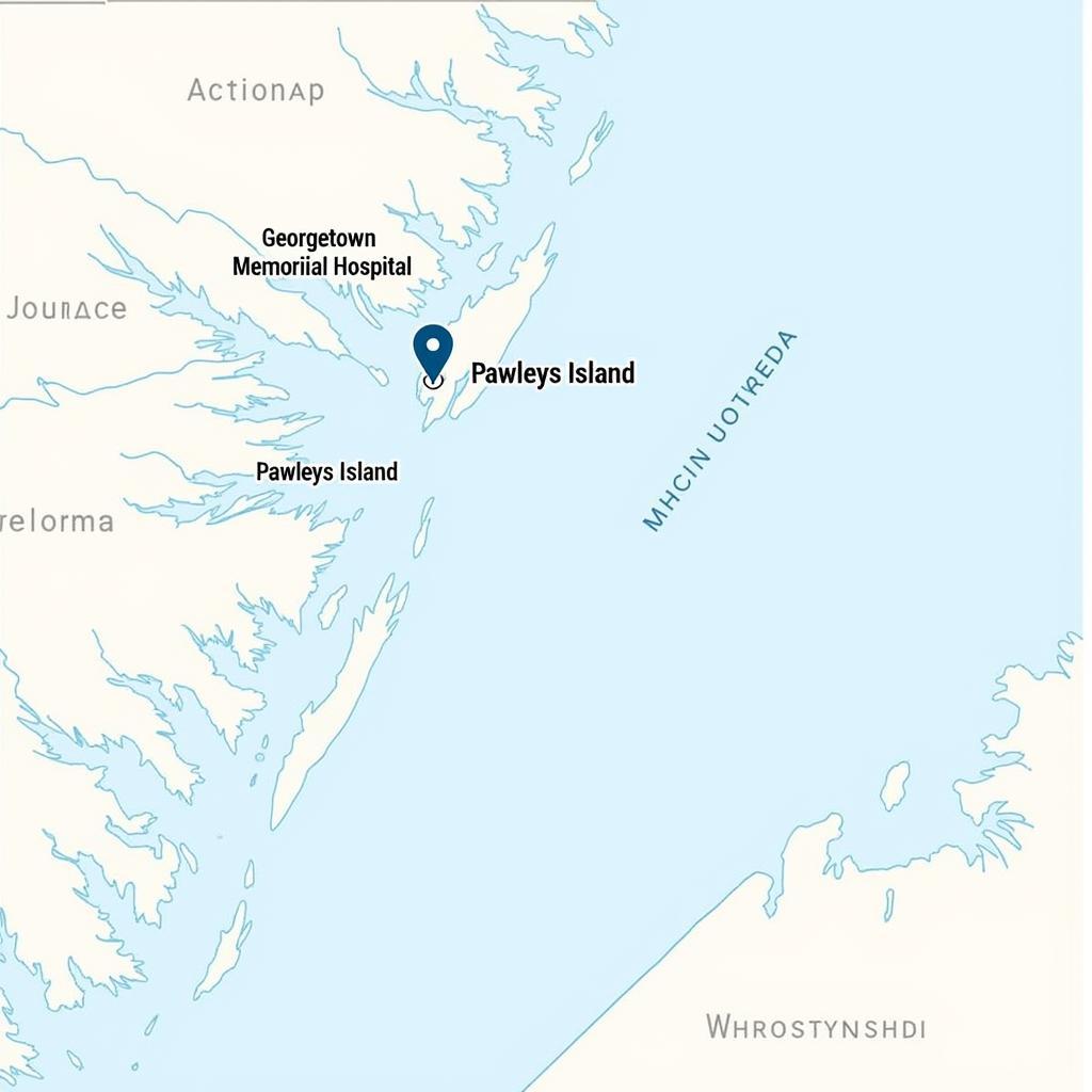 Pawleys Island Medical Map