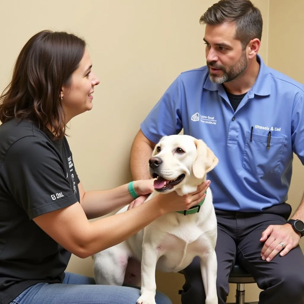 Pet owner discussing their pet's health with a veterinarian at Lee Road Animal Hospital