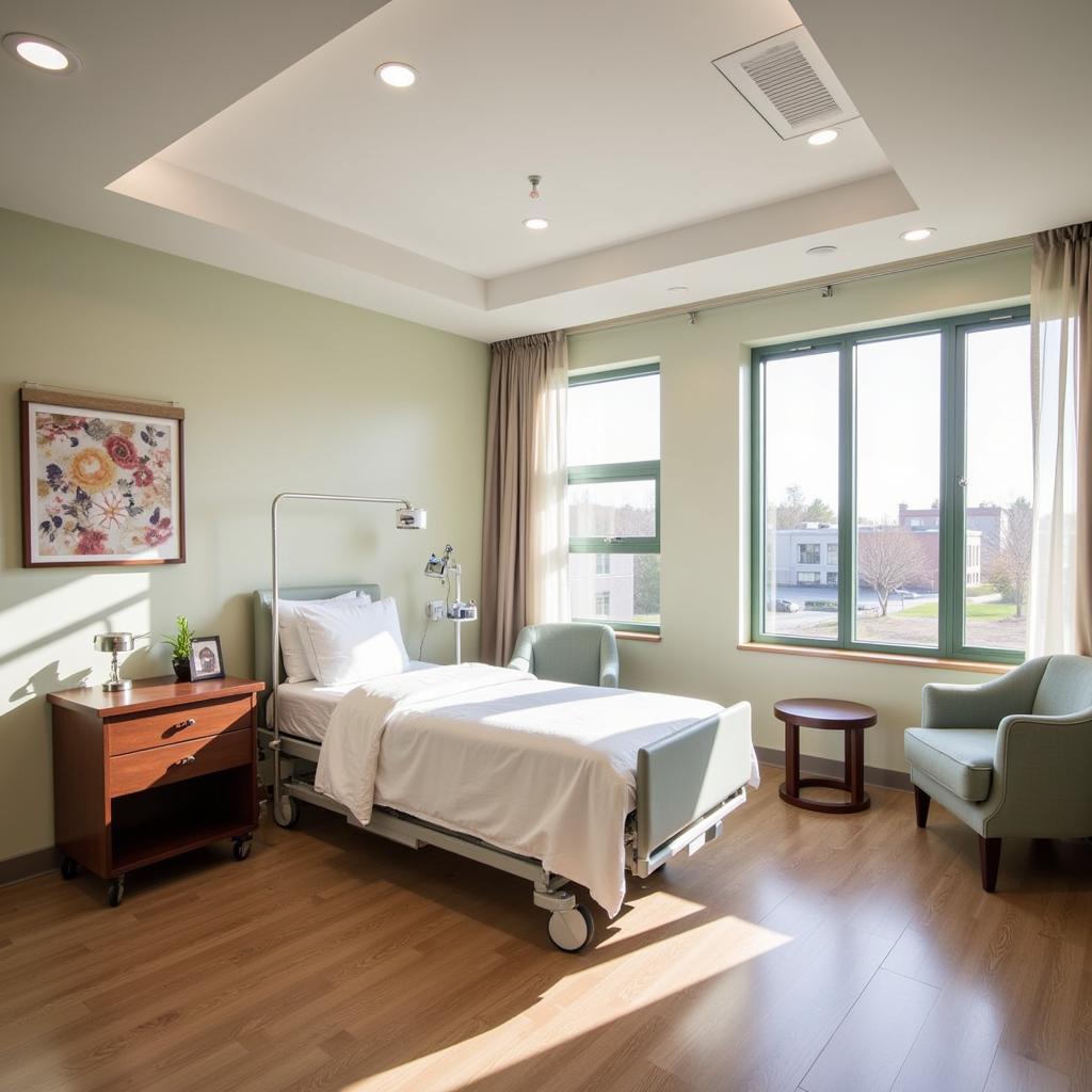 Comfortable and Modern Patient Room with Natural Light