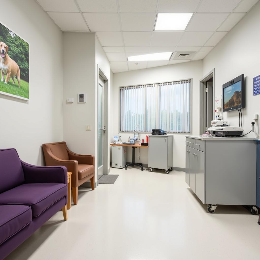 Modern and Welcoming Interior of Rainbow Veterinary Hospital in Darlington