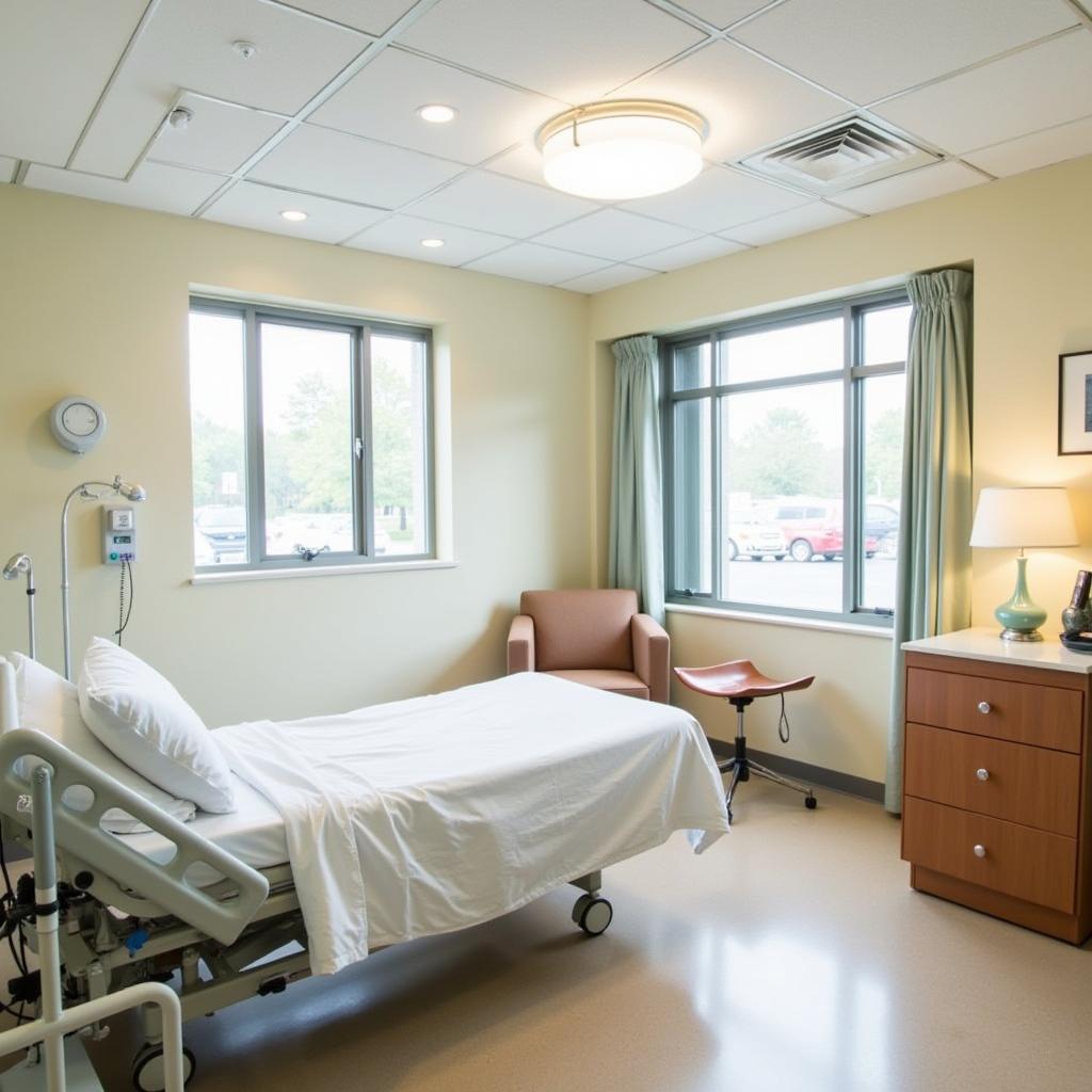 Comfortable and Modern Patient Room