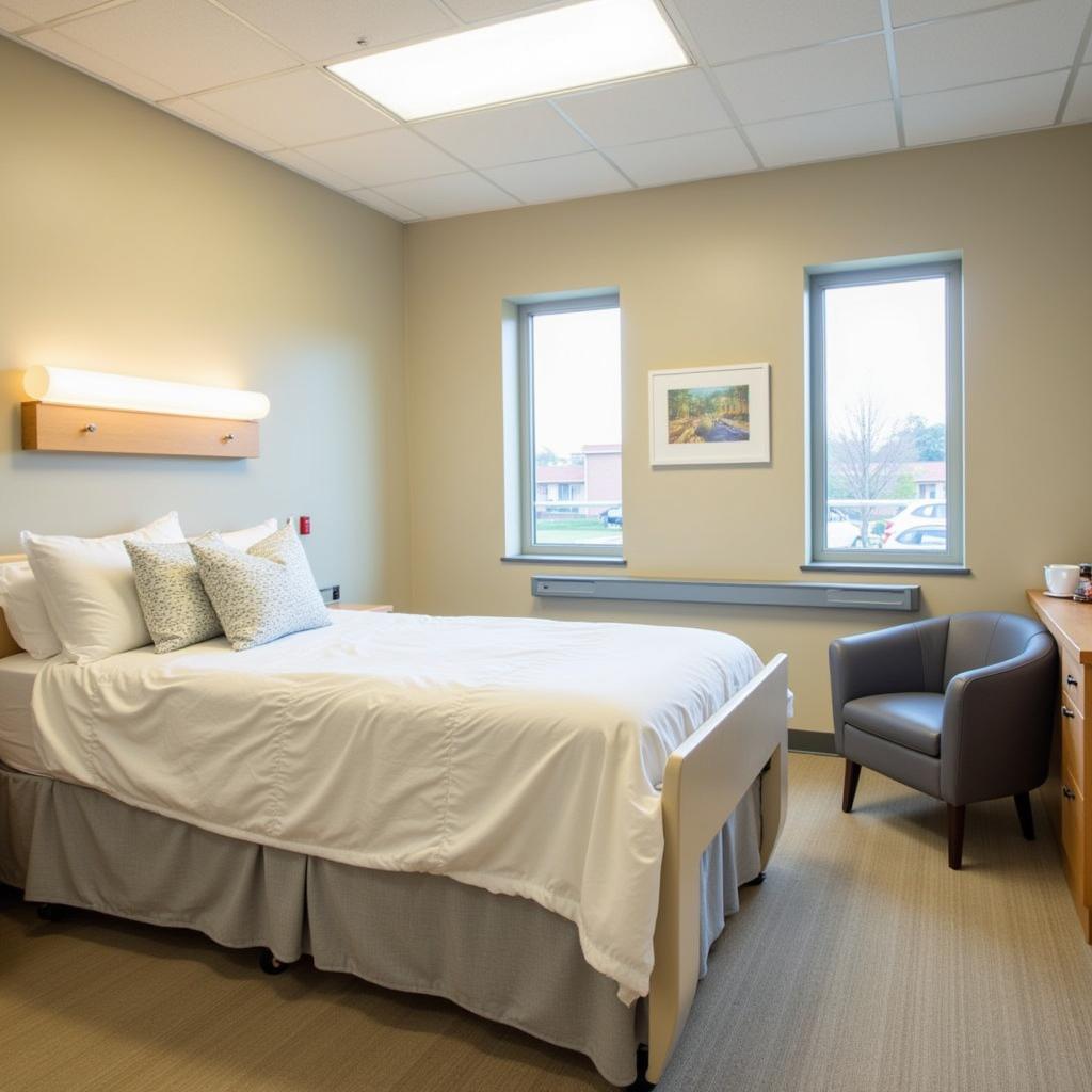 Comfortable and Modern Patient Room