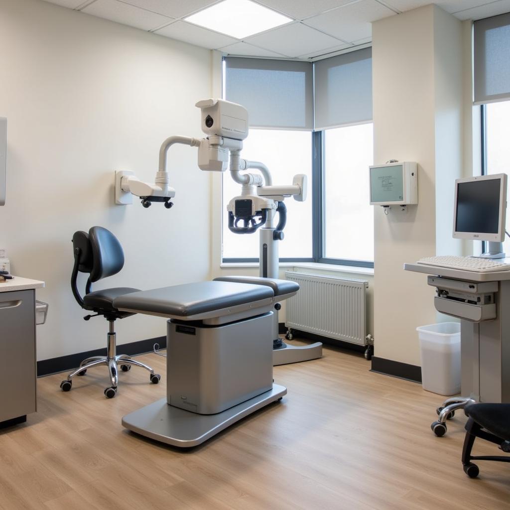 Modern exam room in Seymour veterinary clinic