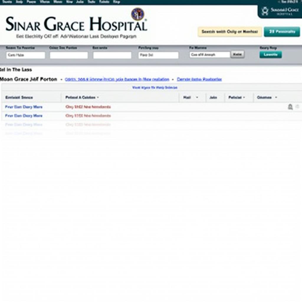 User-Friendly Online Job Portal at Sinai Grace Hospital