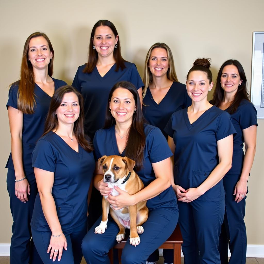 South Haven Animal Hospital Veterinary Team