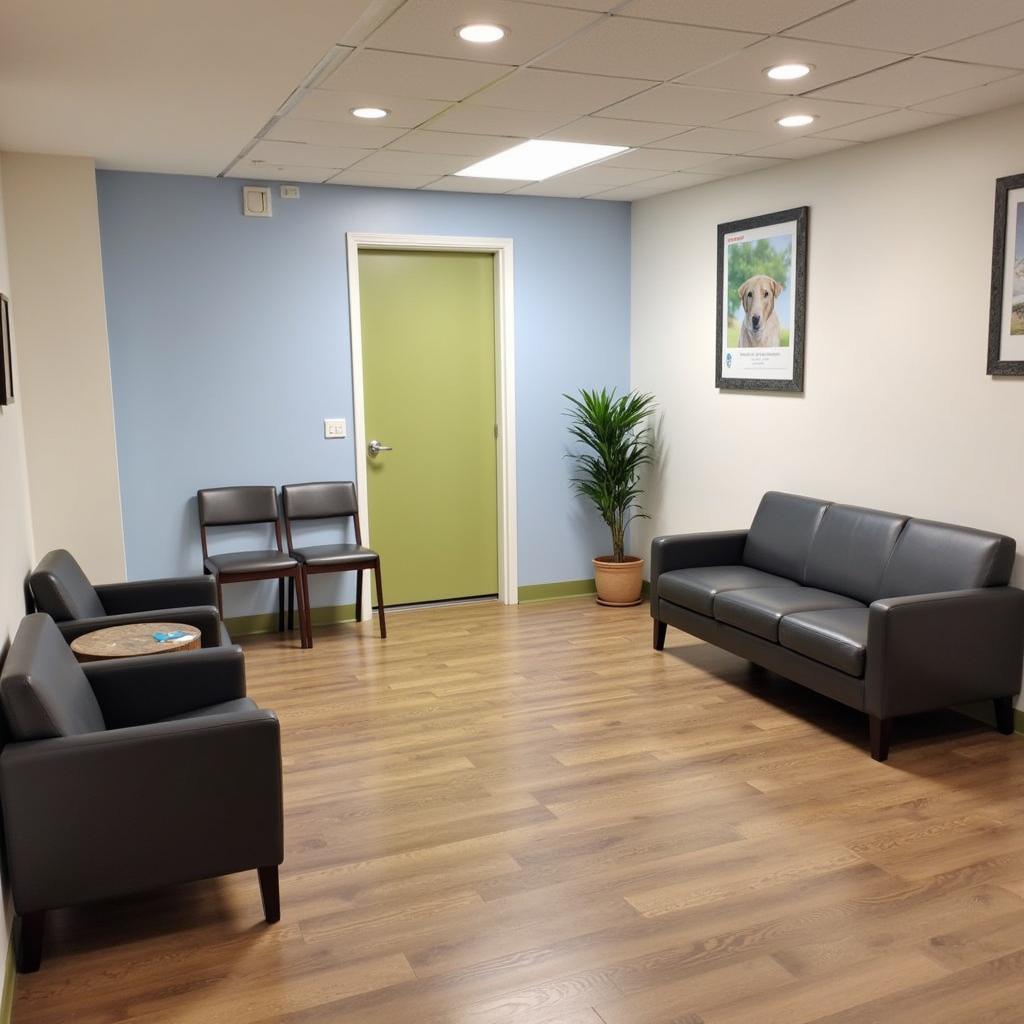 Comfortable and welcoming waiting area at Sutherland Animal Hospital