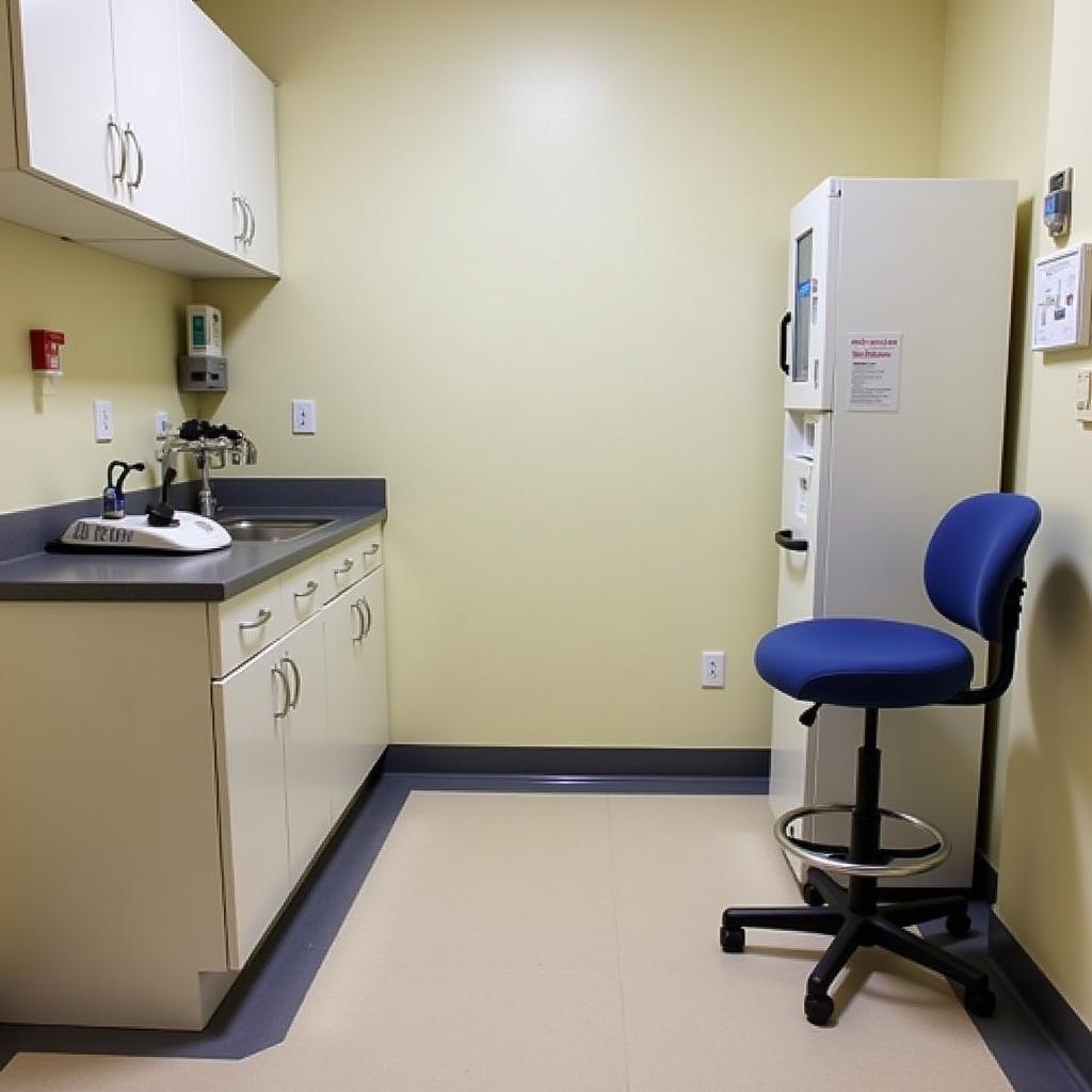 Veterinary Exam Room