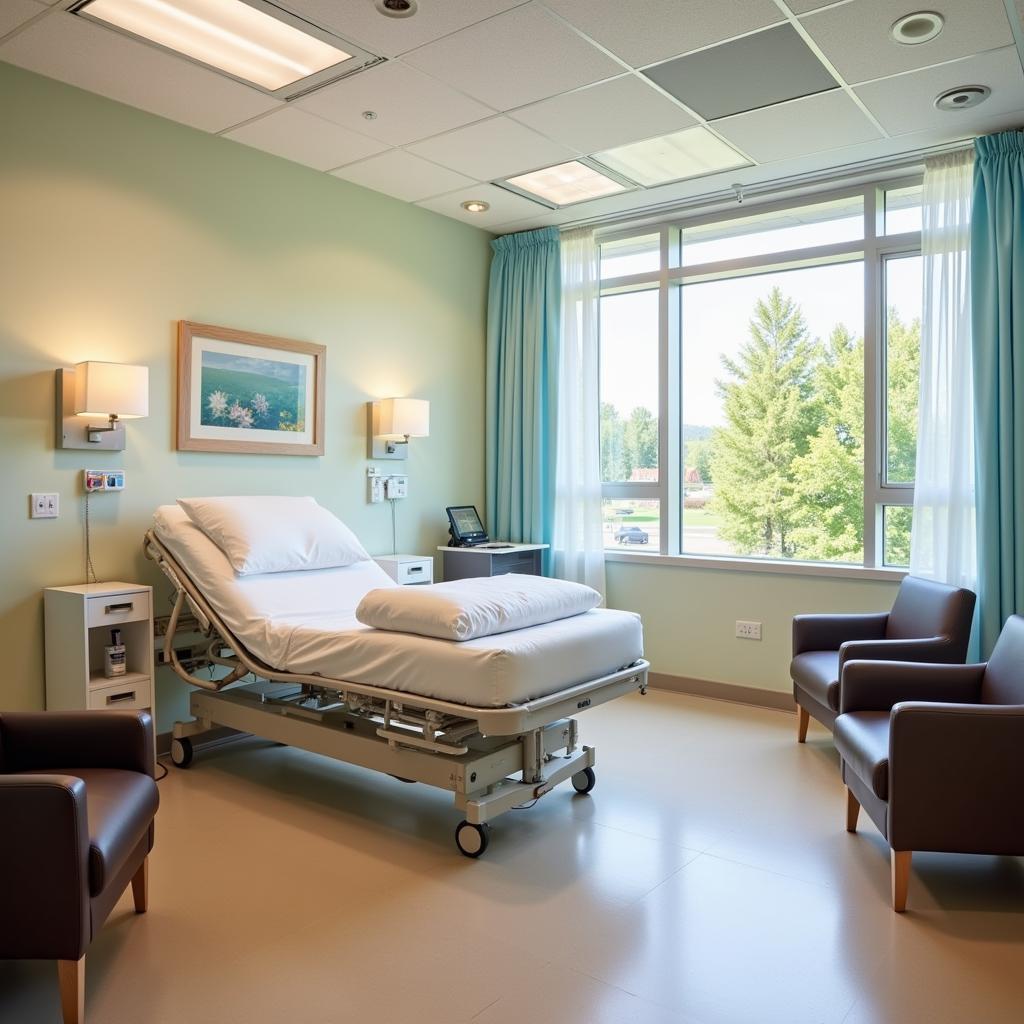 Comfortable and Modern Patient Room