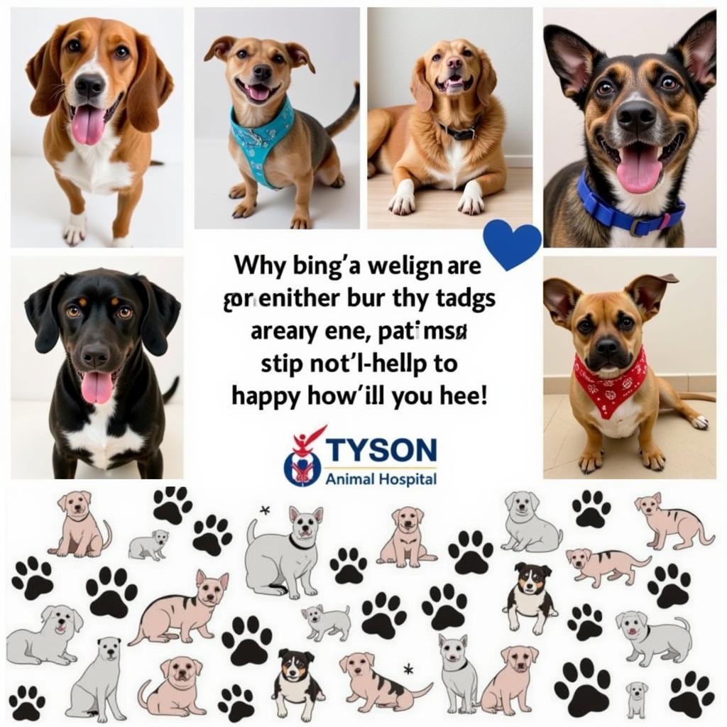 Happy and Healthy Pets at Tyson Animal Hospital Durham NC