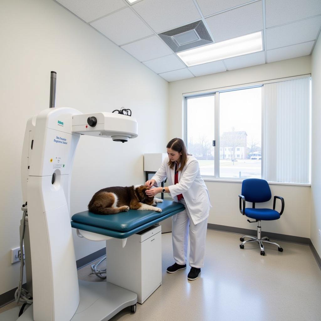 Clean and well-equipped exam room at Valley Vet Phoenixville