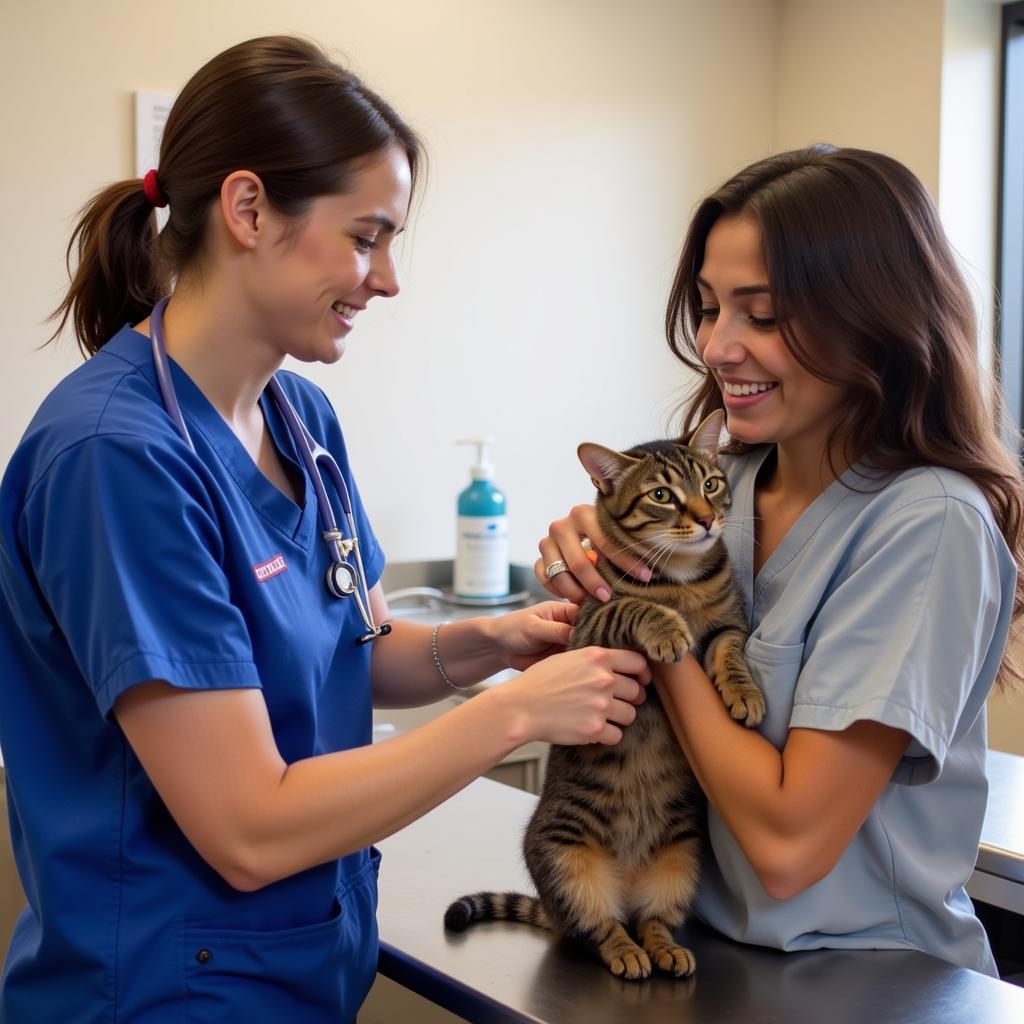 Cat Receiving a Vaccination