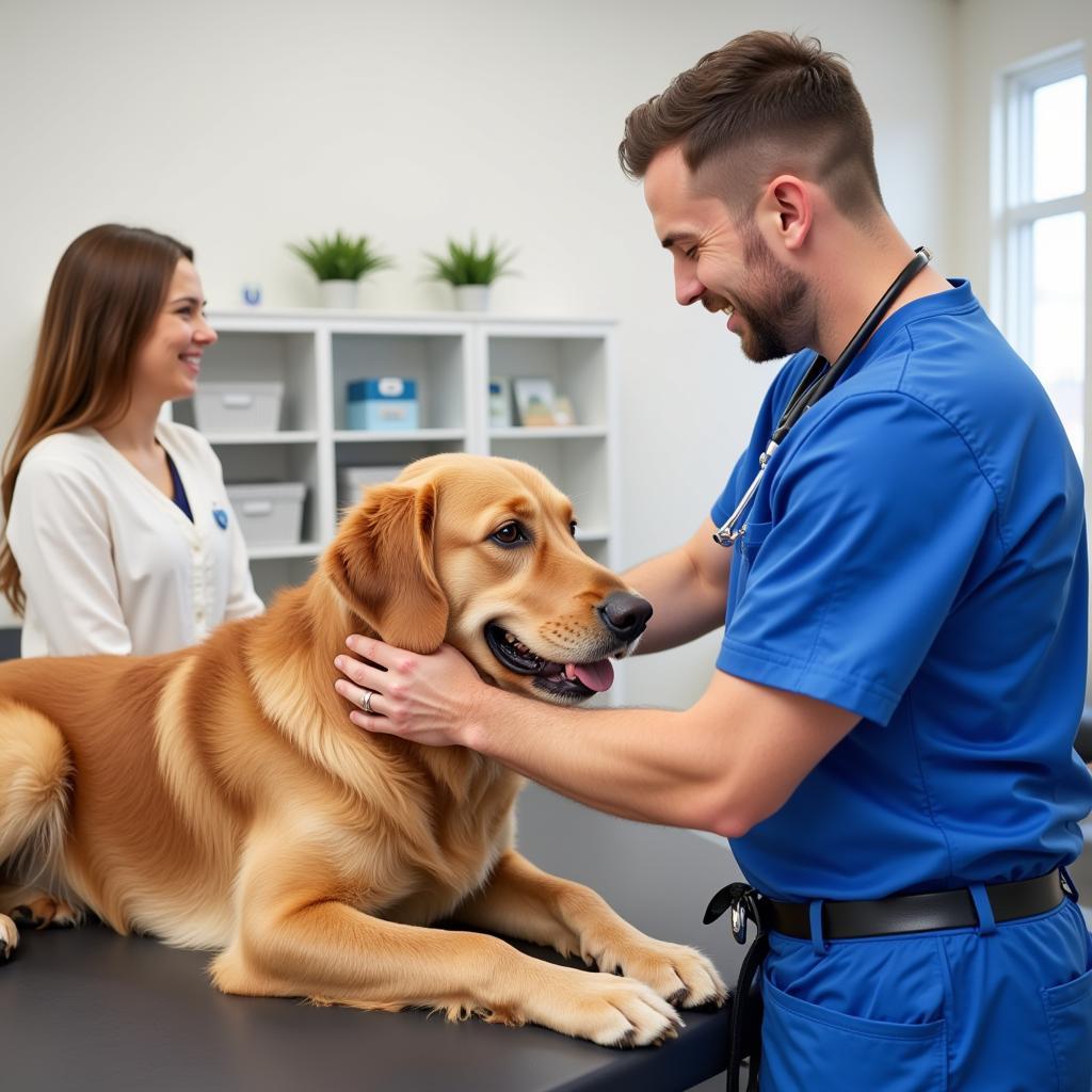  Veterinarian examining a dog in Groton, MA 