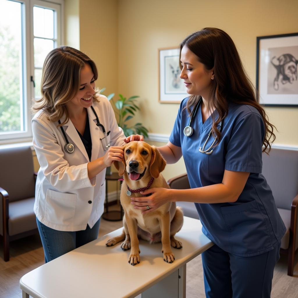 Veterinarian carefully examining a dog in a Spanish-speaking clinic