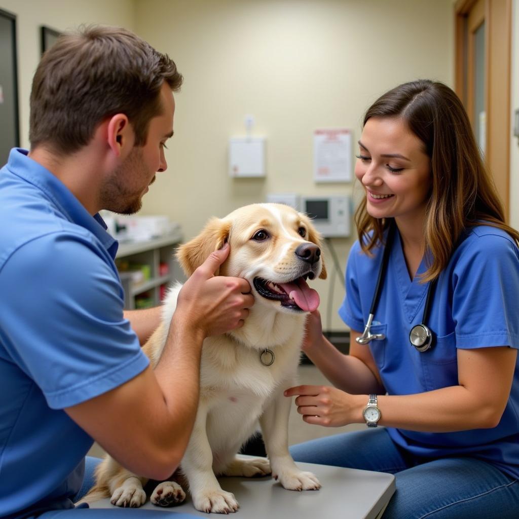 Veterinarian conducts a thorough checkup on a dog while its owner observes