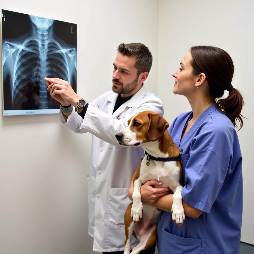  Veterinarian explaining x-ray to dog owner 