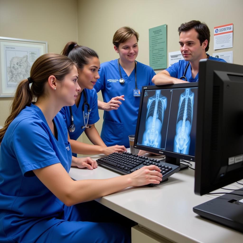 Veterinary team discussing a patient's case