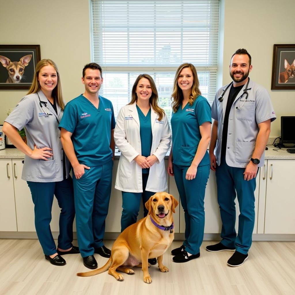 Dedicated veterinary team at Acredale Animal Hospital