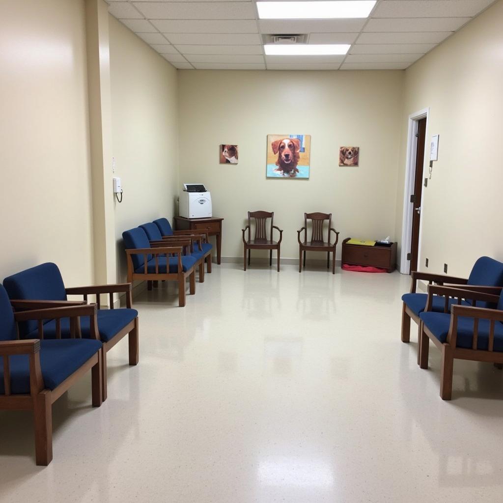 Comfortable waiting room at San Jose Animal Hospital in Lakeville MN