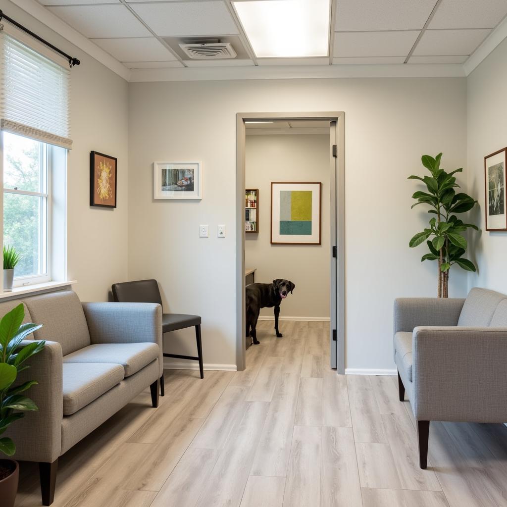 Comfortable Waiting Area in a Whittier Animal Hospital