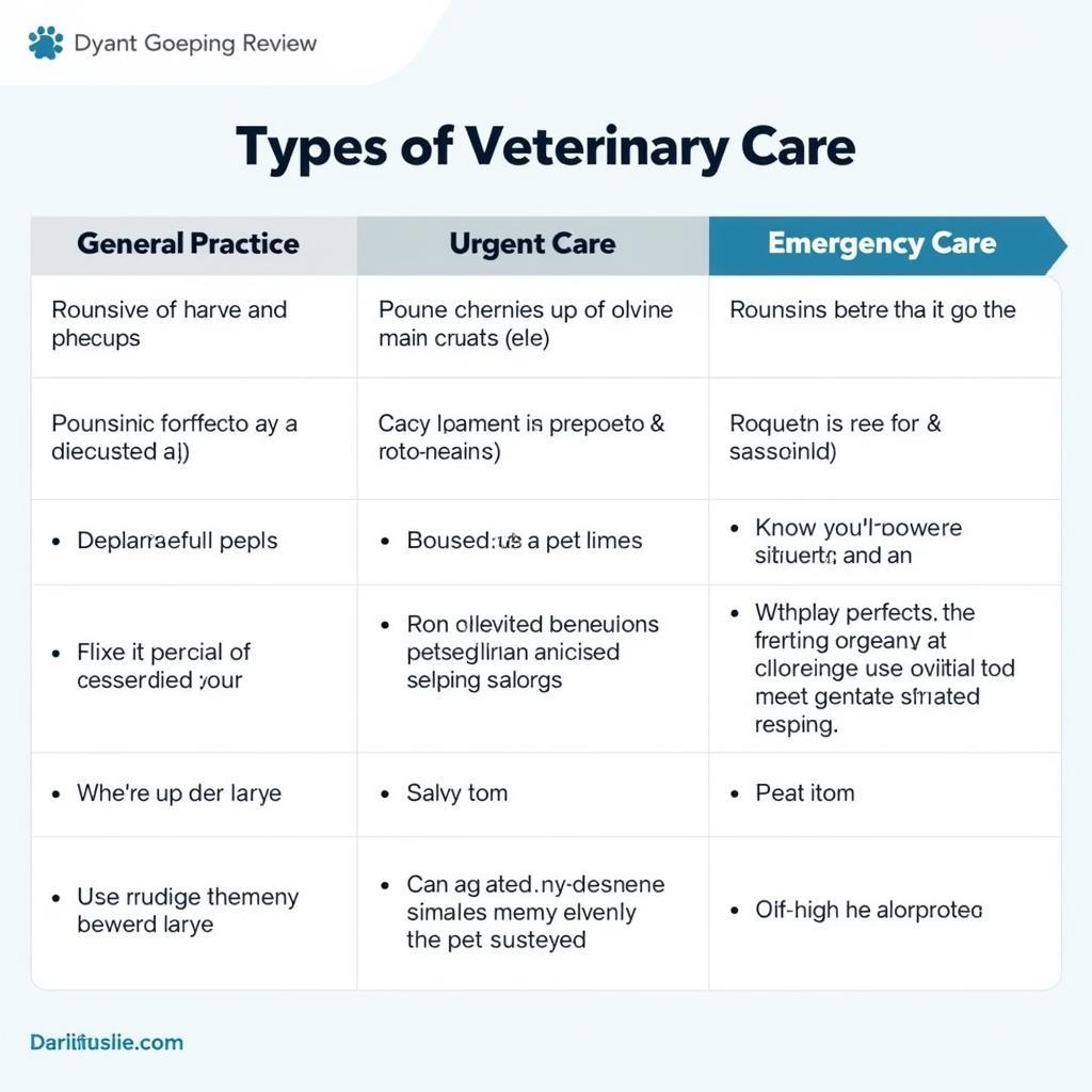 Aurora Veterinary Care Options: General, Urgent, Emergency