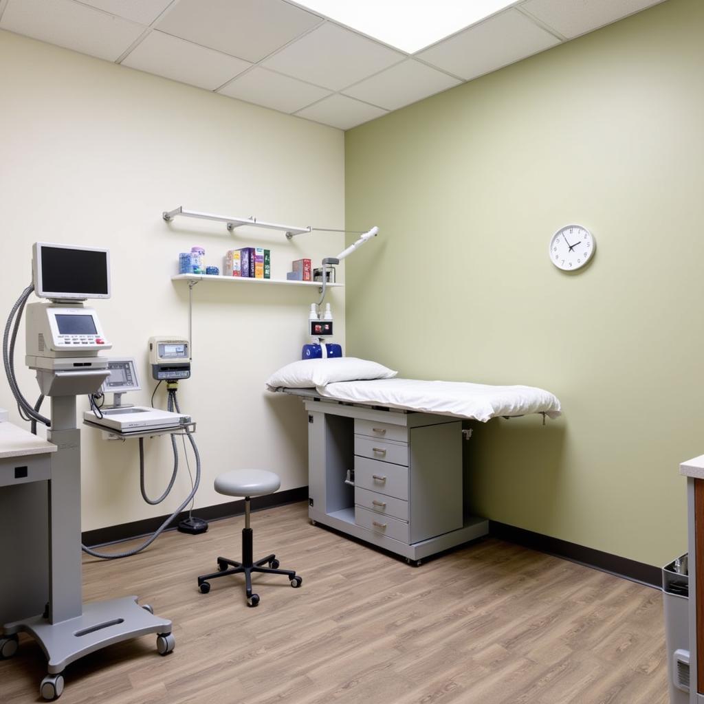 Barnum Animal Hospital Stratford Exam Room