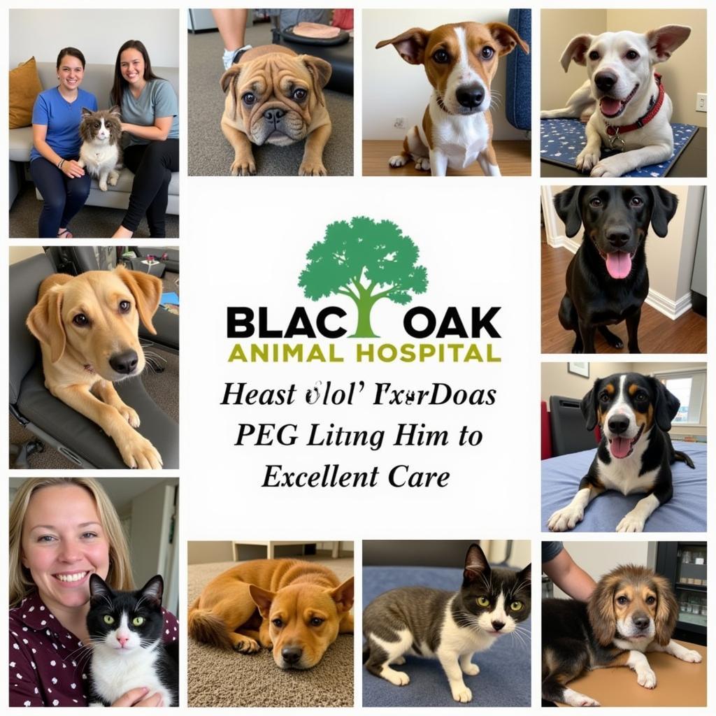 Happy and healthy pets at Black Oak Animal Hospital