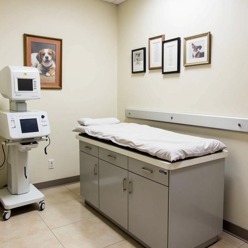 Bonnie Brae Vet Exam Room