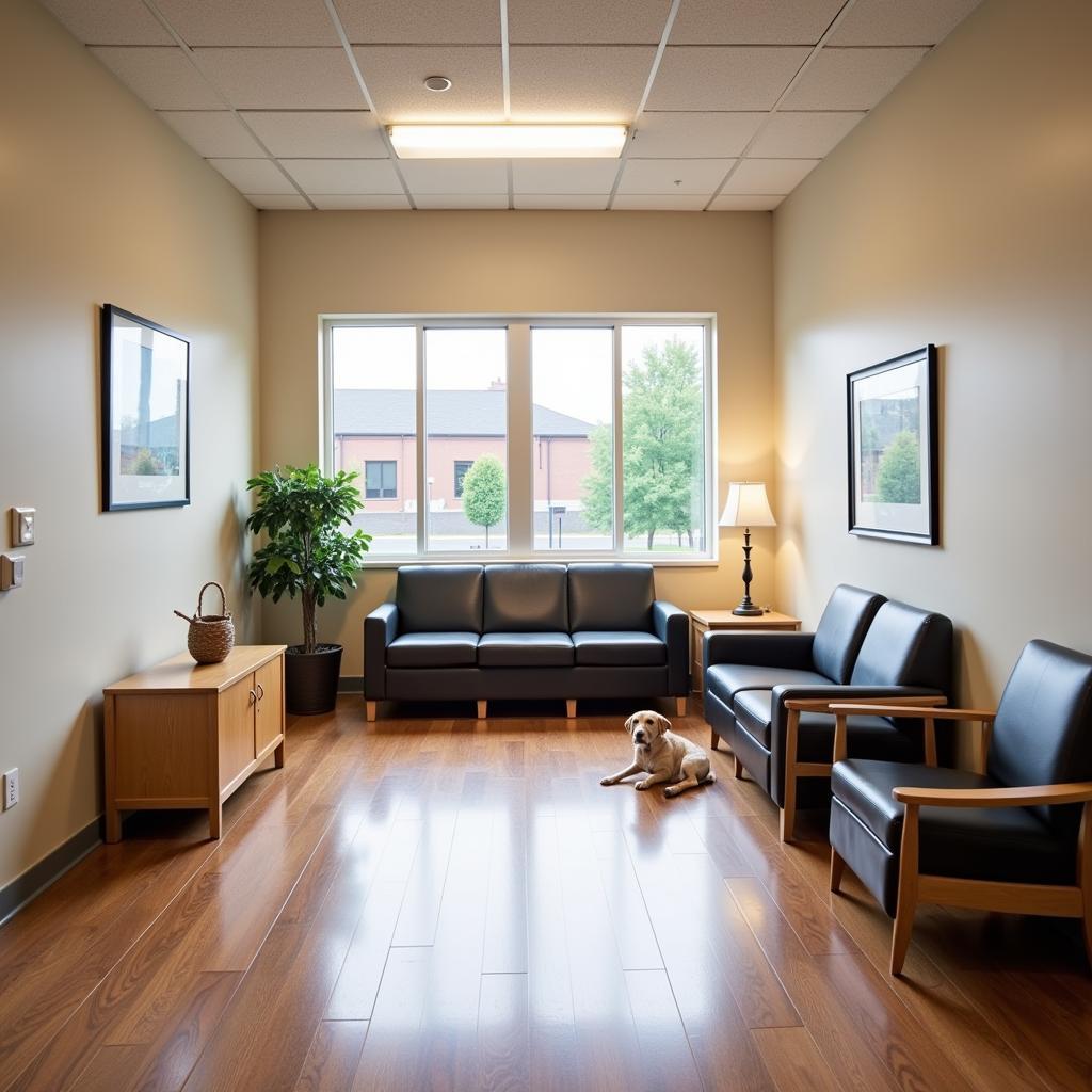 Comfortable and welcoming waiting room at Brockport Vet Hospital